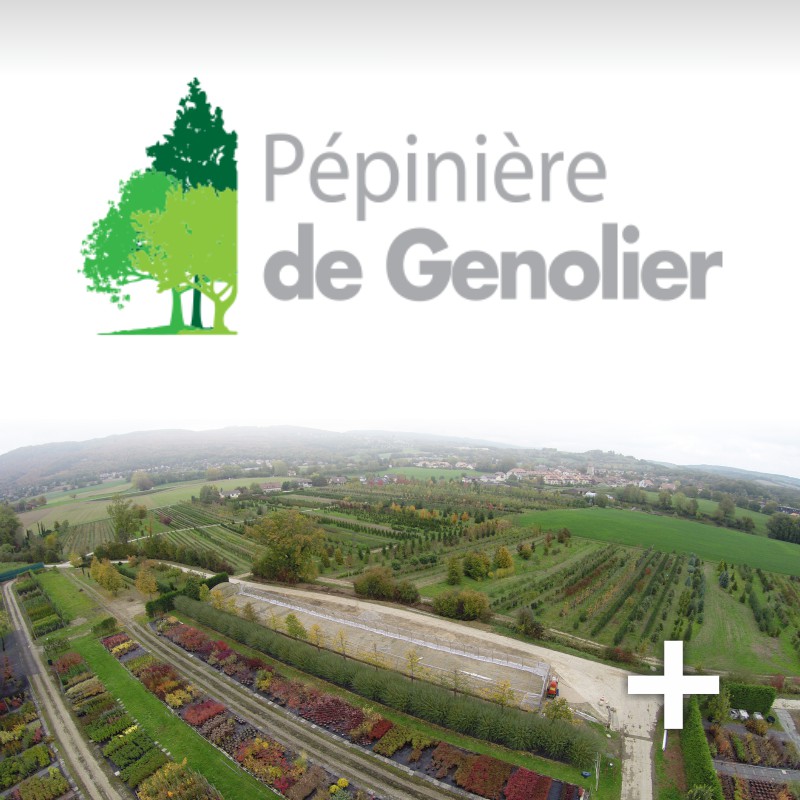 Pépinière de Genolier