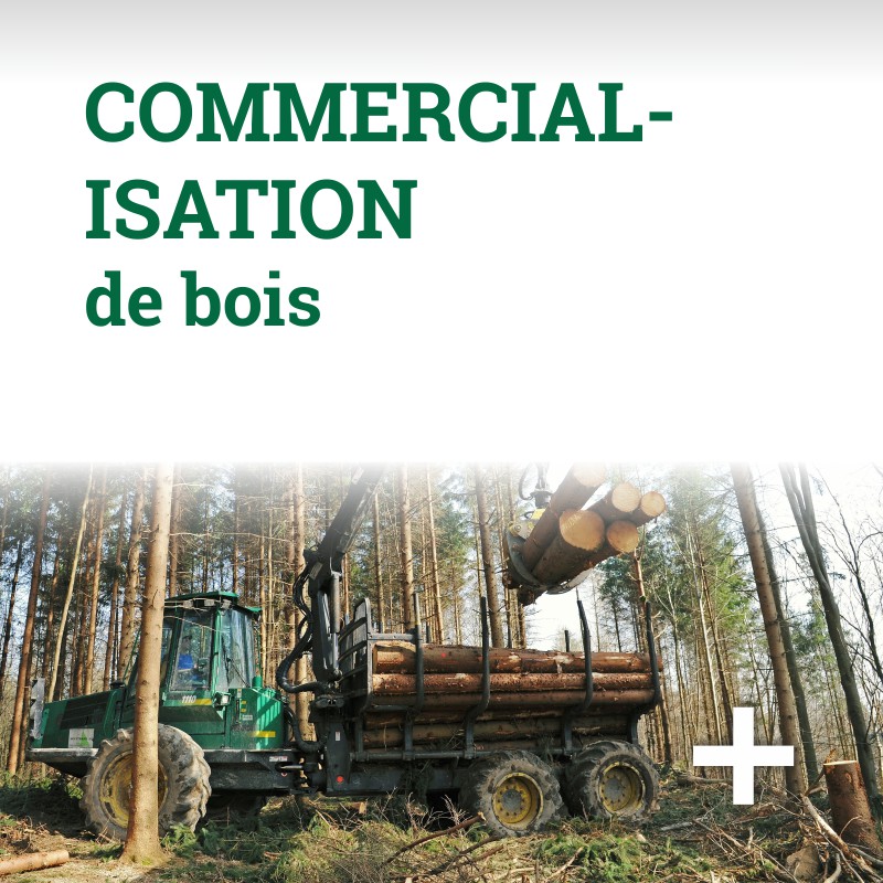 Commercialisation de bois