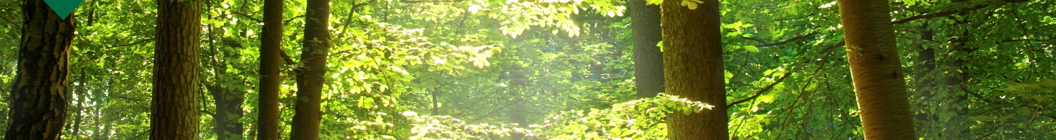 Accueil La Forestière